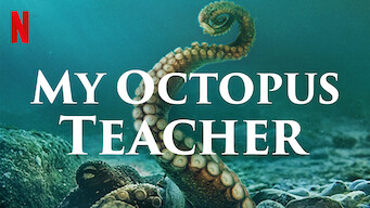 octopus teacher