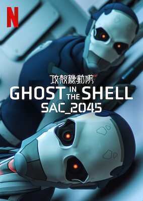 Ghost in the Shell: SAC_2045